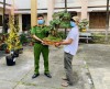 CA huyện Tuy Phước trao trả cây cảnh cho ông Đạt.