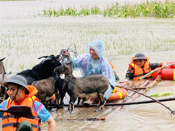 giup dan di chuyen dan de toi noi an toan